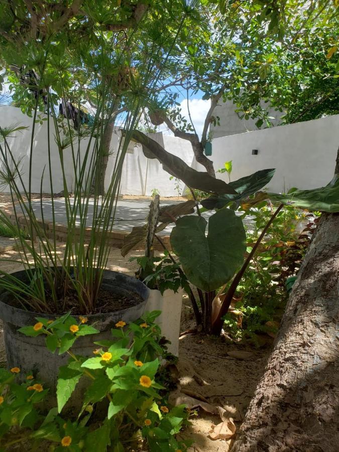 Casa Pipa Bg Ξενοδοχείο Barra Grande  Εξωτερικό φωτογραφία